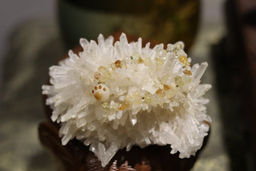 🌊 Natural Crystal Ocean’s Whisper: Natural Seashell Beaded Bracelet – Freeform Beauty 🌊
